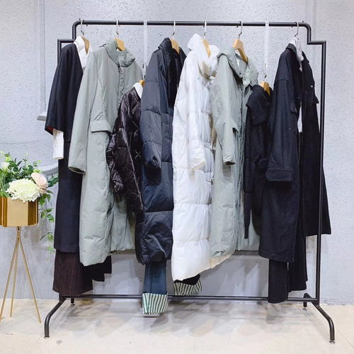 艾格（Etam）與四川高檔女裝品牌 低價(jià)位加盟與羽絨服零售市場(chǎng)策略探析